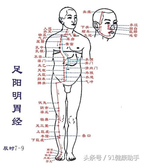 內廷穴位|內庭穴丨足陽明胃經丨經脈穴位